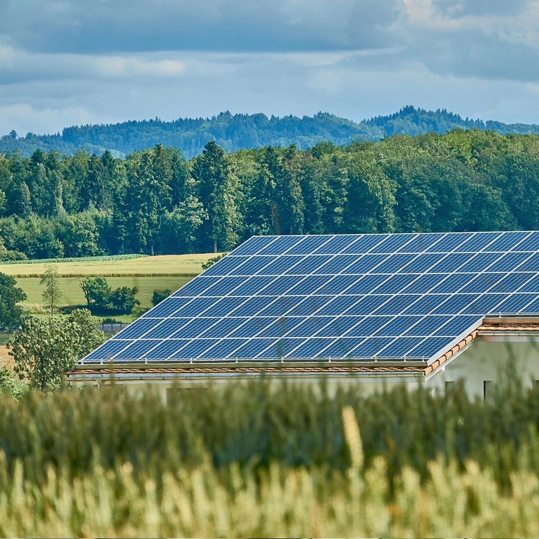 Ongrid Solar